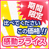 期間限定感動プライス